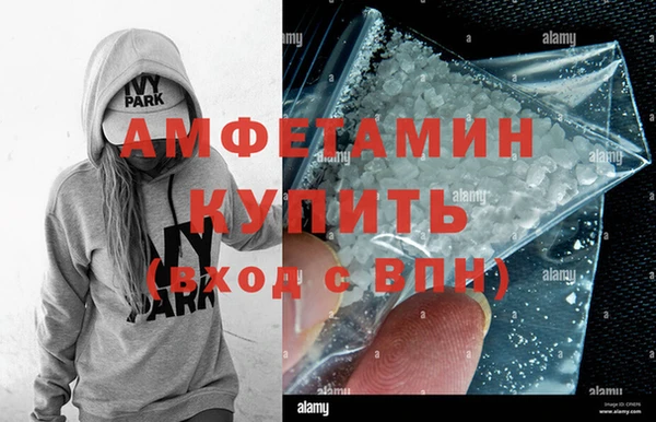 СК Пересвет