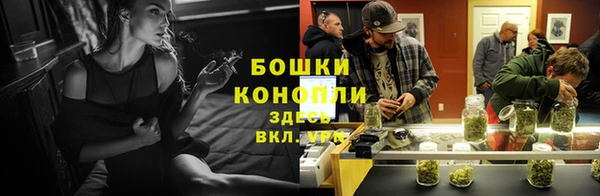 СК Пересвет