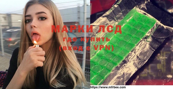 СК Пересвет