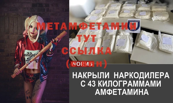СК Пересвет