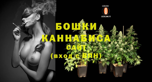 СК Пересвет