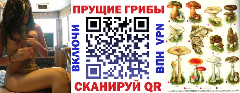 blacksprut зеркало  Мураши  Галлюциногенные грибы ЛСД 